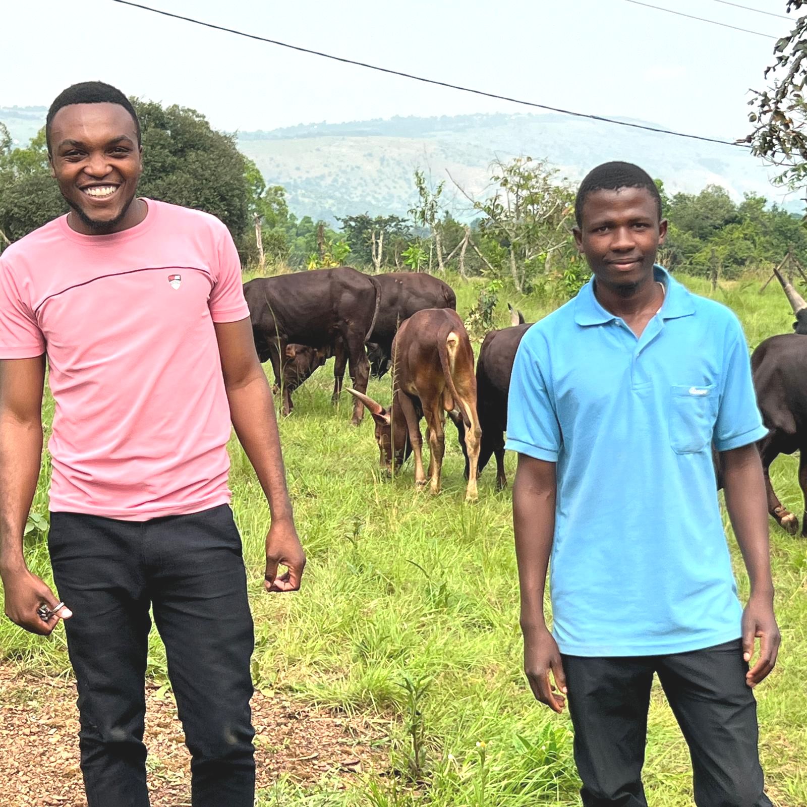 This image has an empty alt attribute; its file name is c0eba502-956a-b1b2-ebc9-c09ec424147a.jpg