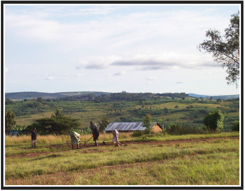 Girls Working the Land