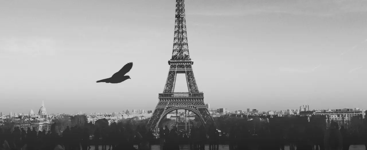 Study PhD in France: PhD Specializations, Study Timeline, Criteria & Cost