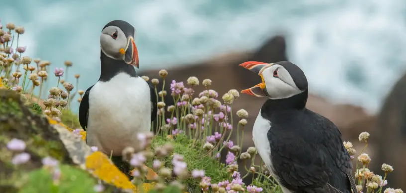 Top 6 Bachelor's Programs in Ireland